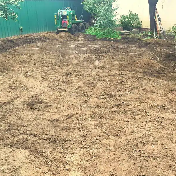 inner-city back garden