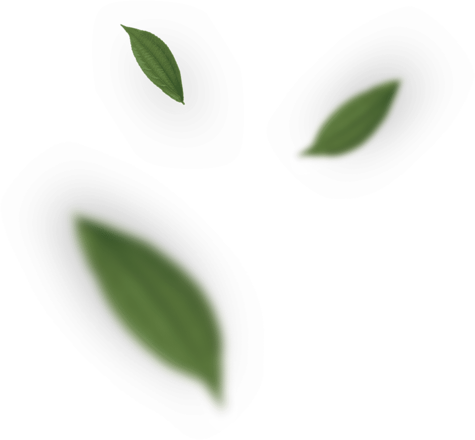 beautiful outdoor spaces