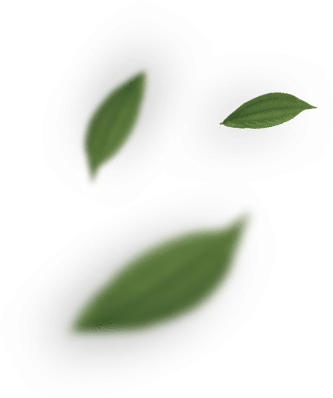 beautiful outdoor spaces