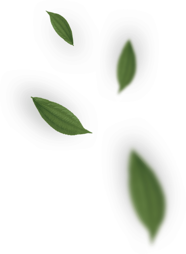 beautiful outdoor spaces