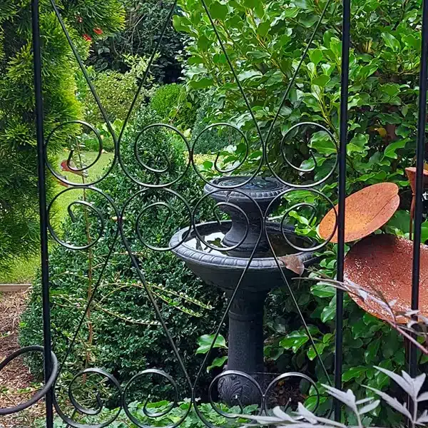 inner-city back garden