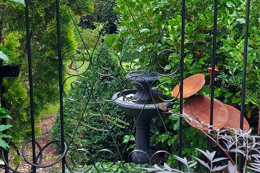 inner-city back garden