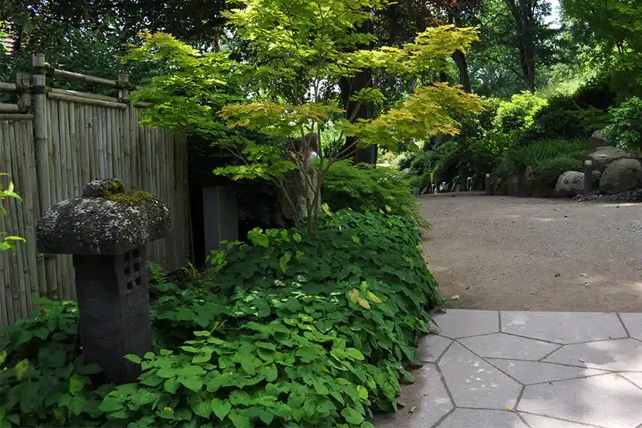 The Japanese Garden