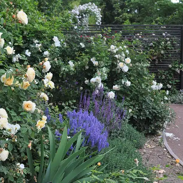 beautiful outdoor spaces