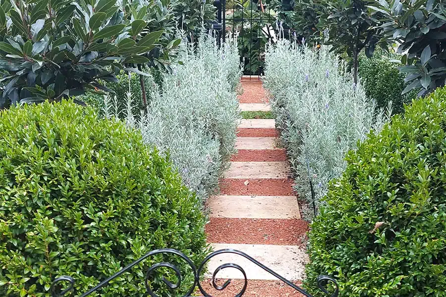 informal styled design