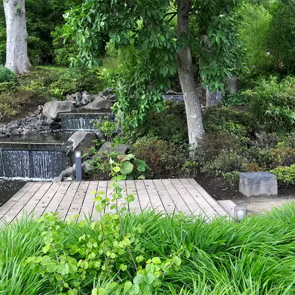 The Japanese Garden