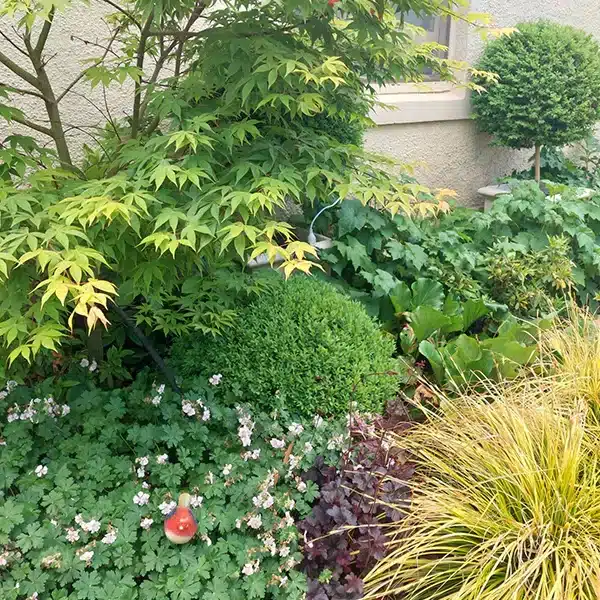 informal styled design