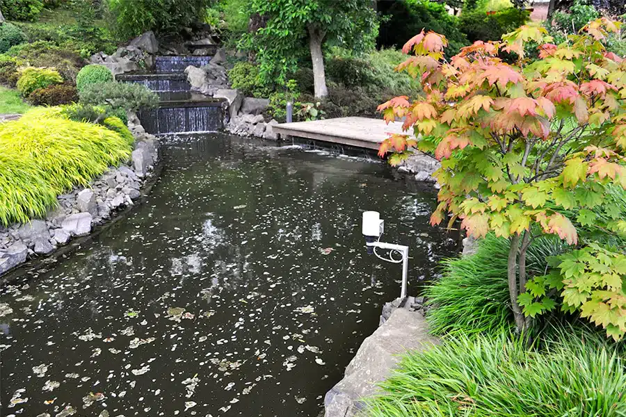 The Japanese Garden