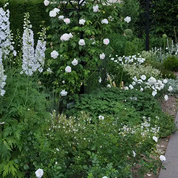 beautiful outdoor spaces