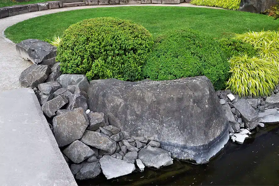 The Japanese Garden