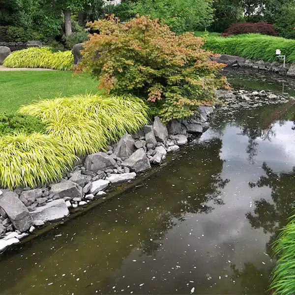 Gardening Maintenance and Care