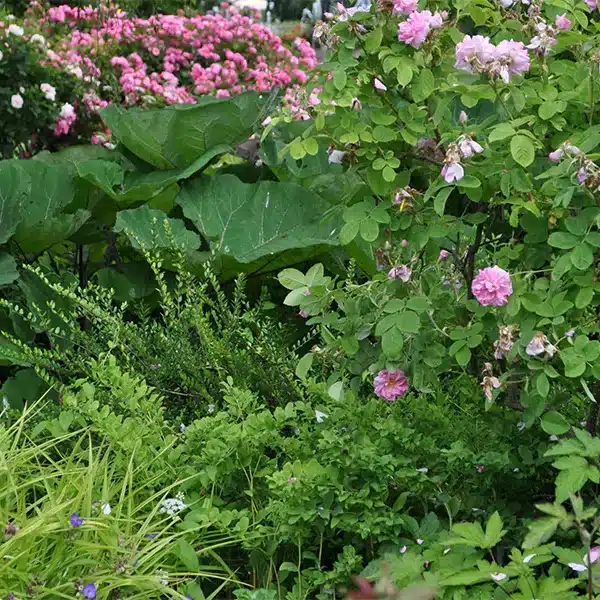 beautiful outdoor spaces