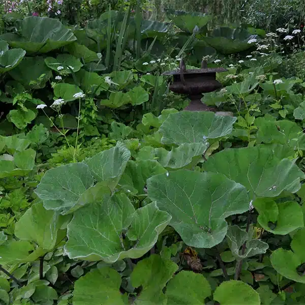 Garden for the Senses