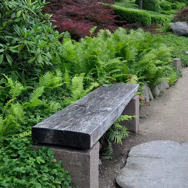 The Japanese Garden