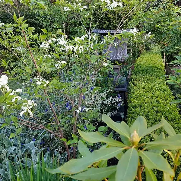 informal styled design