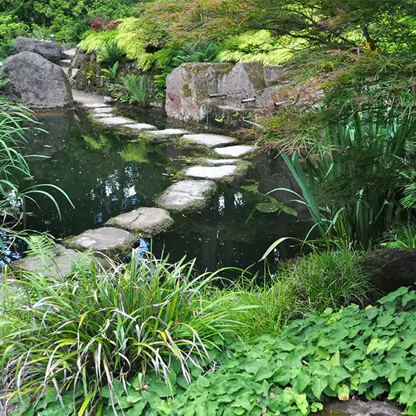 The Japanese Garden
