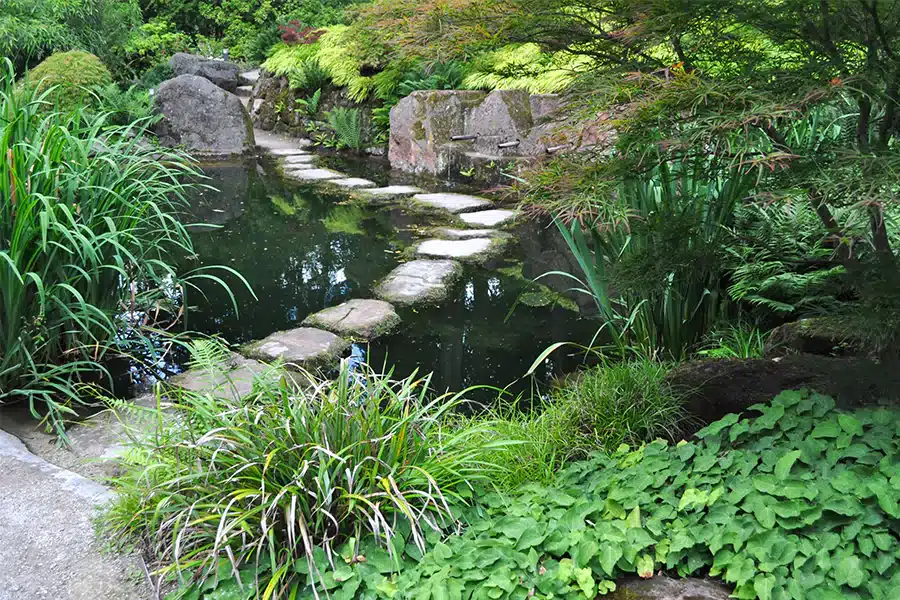 The Japanese Garden