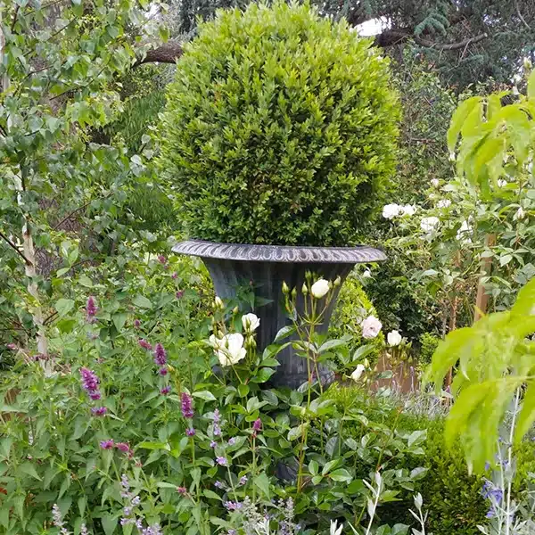 informal styled design