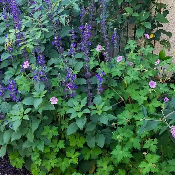 informal styled design