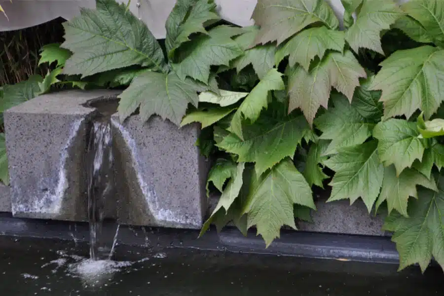 beautiful outdoor spaces