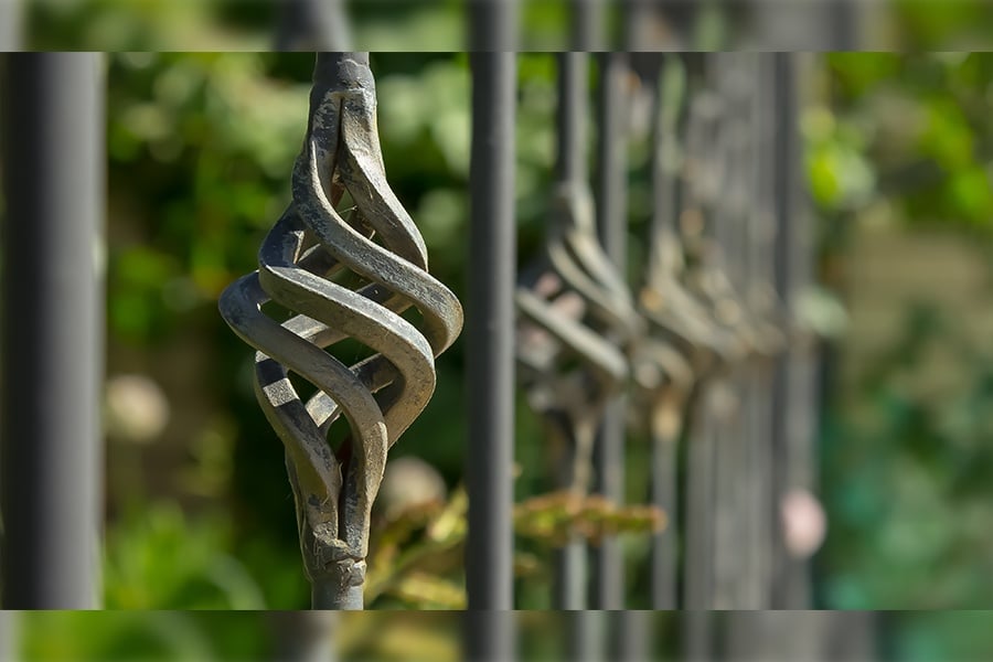 Gardening Maintenance and Care