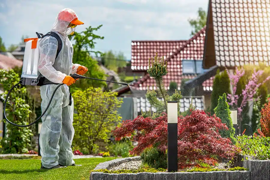 Gardening Maintenance and Care