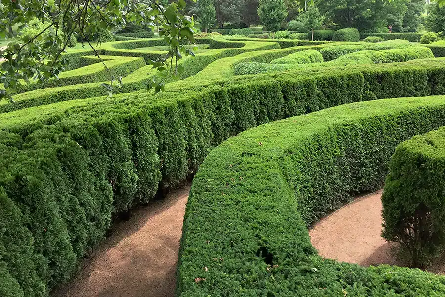 Gardening Maintenance and Care