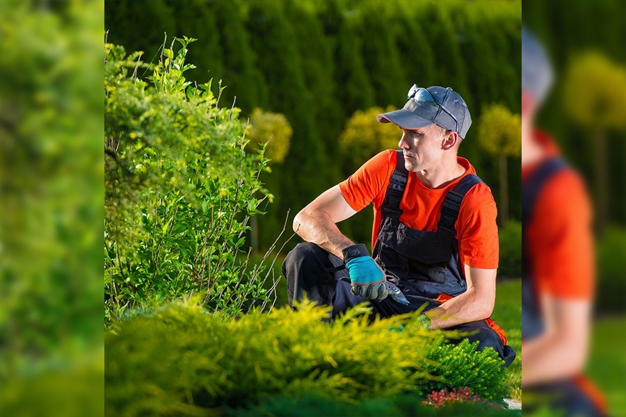 Residential Garden Design