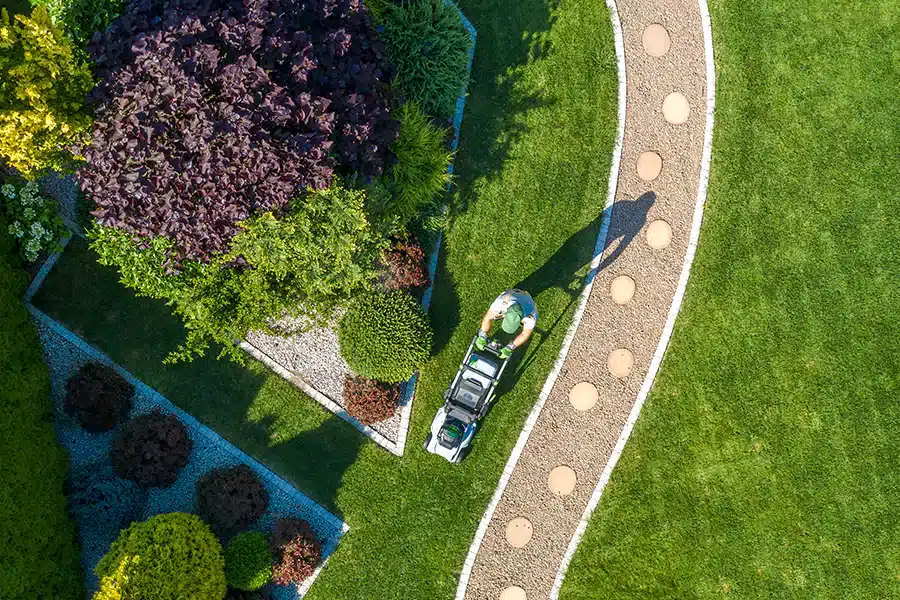 Gardening Maintenance and Care