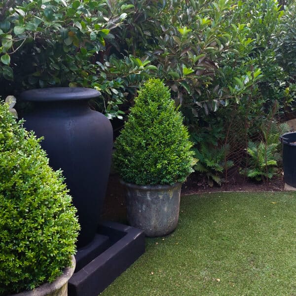 inner-city back garden