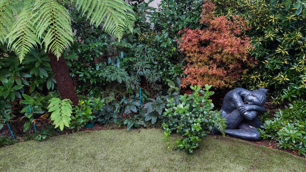inner-city back garden