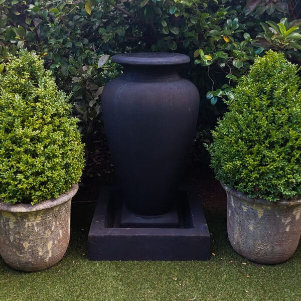 inner-city back garden