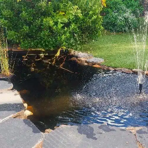 Backyard pond with a water fountain spraying, surrounded by lush green bushes and grass.